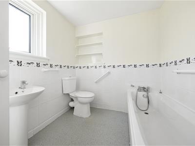 Picture 15